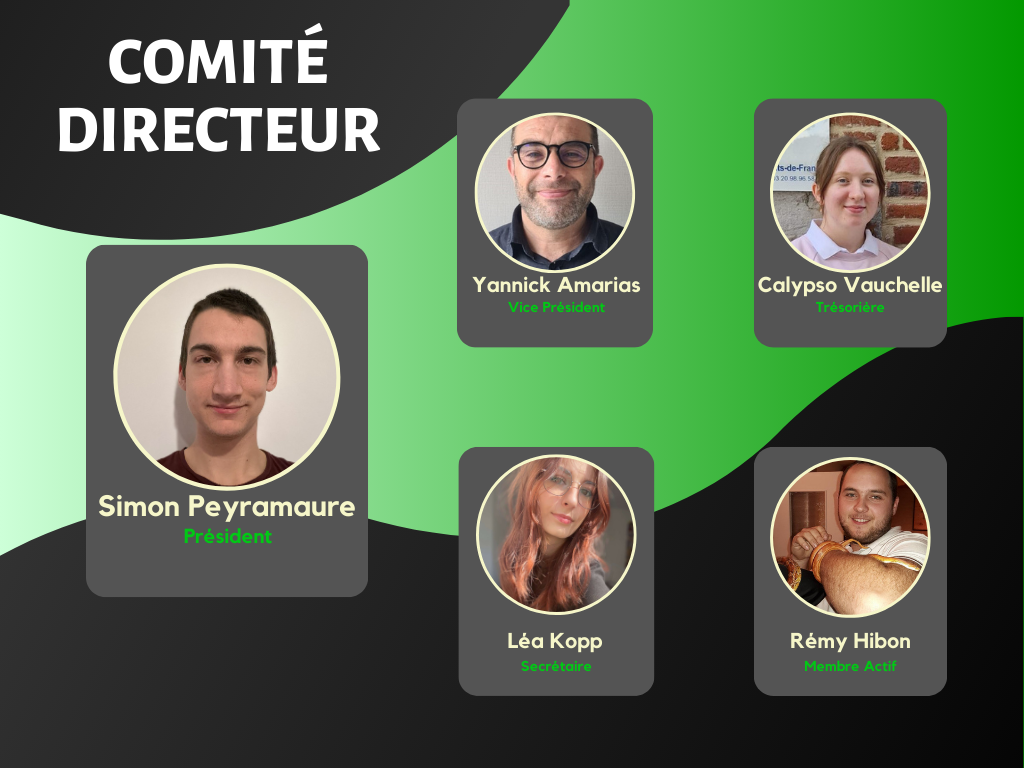 Comité Directeur